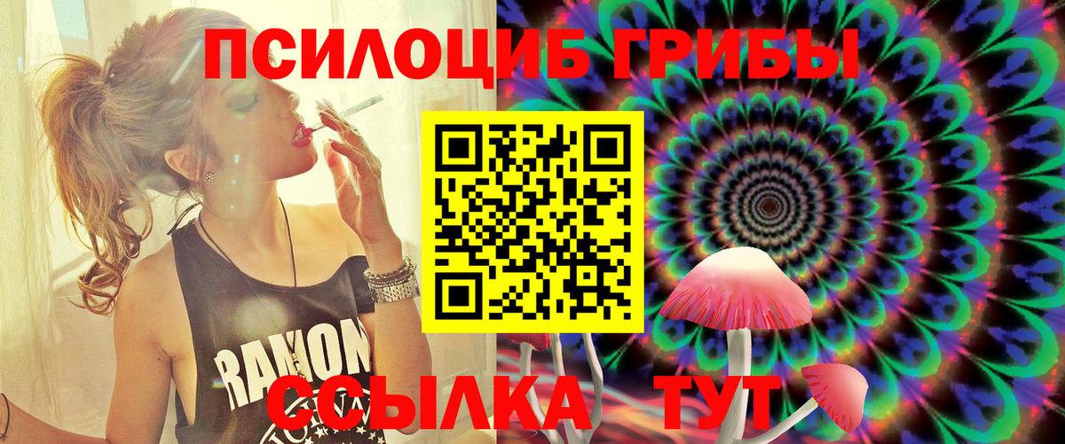 Псилоцибиновые грибы мухоморы  Псилоцибиновые грибы Magic Shrooms  Красноармейск  Вход с VPN 